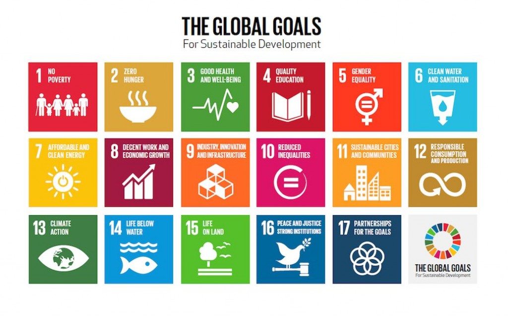 The SDG Compass: toward global sustainable development