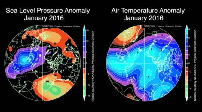 Arctic anomaly - January 2016